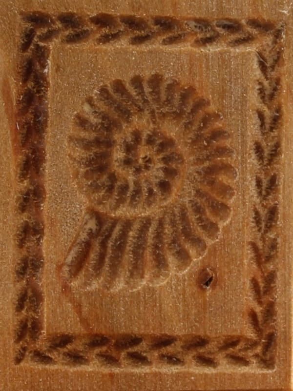 4309_3,0x4,0_Ammonit klein_Sonstige 4309_3,0x4,0_Ammonit klein_Sonstige