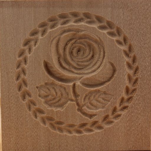 3199_5,5x5,5_Rose Lioba_Pflanzen und Früchte