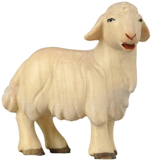 Lamm stehend Lamm stehend