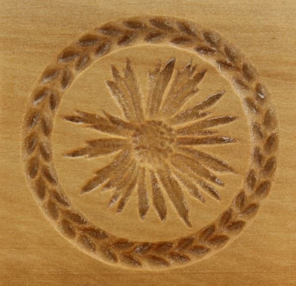 3112_5,5x5,5_Silberdistel_Pflanzen und Früchte 3112_5,5x5,5_Silberdistel_Pflanzen und Früchte