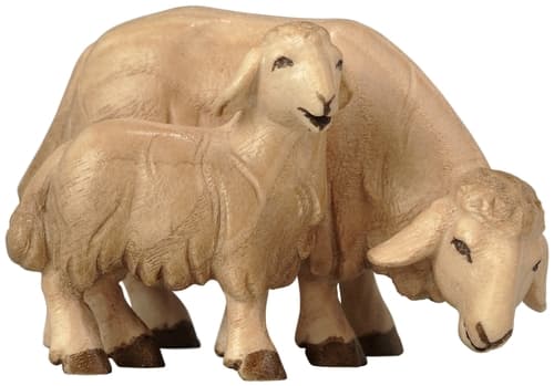 1854010_ton2 1854010_ton2