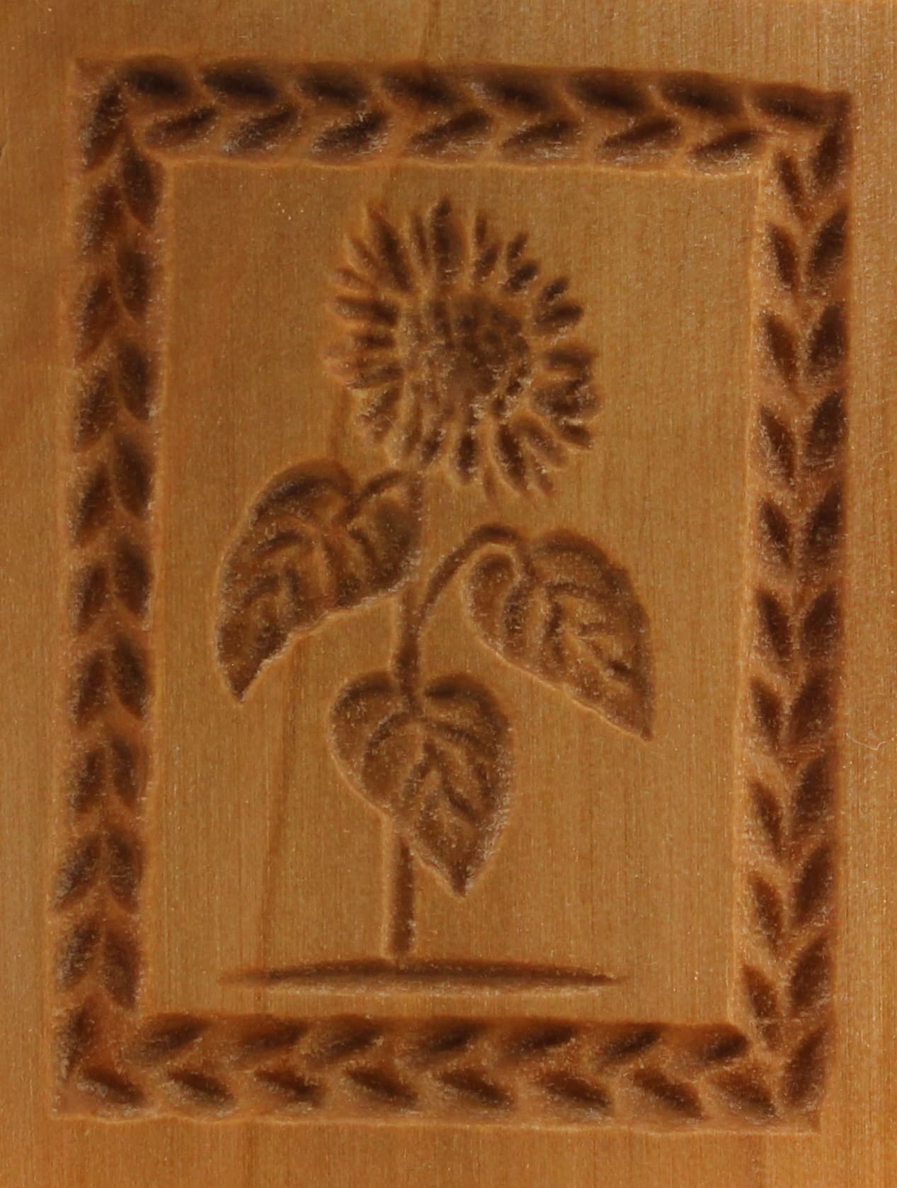 3144_Sonnenblume_4,5x6,0_Pflanzen und Früchte 3144_Sonnenblume_4,5x6,0_Pflanzen und Früchte