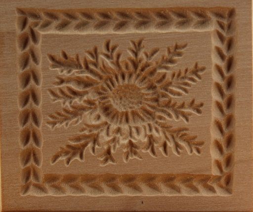 3174_5,2x5,7_Silberdistel mit Blättern_Pflanzen und Früchte 3174_5,2x5,7_Silberdistel mit Blättern_Pflanzen und Früchte