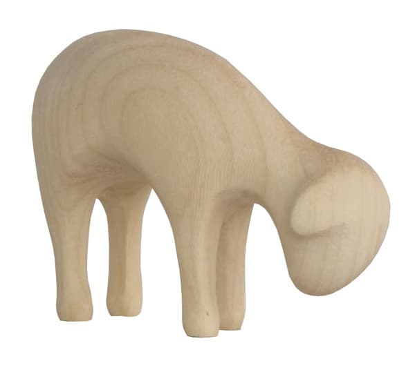 Schaf äsend Aram Schaf äsend Aram