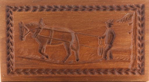 4177_5,0x9,2_rückepferd_tiere 4177_5,0x9,2_rückepferd_tiere