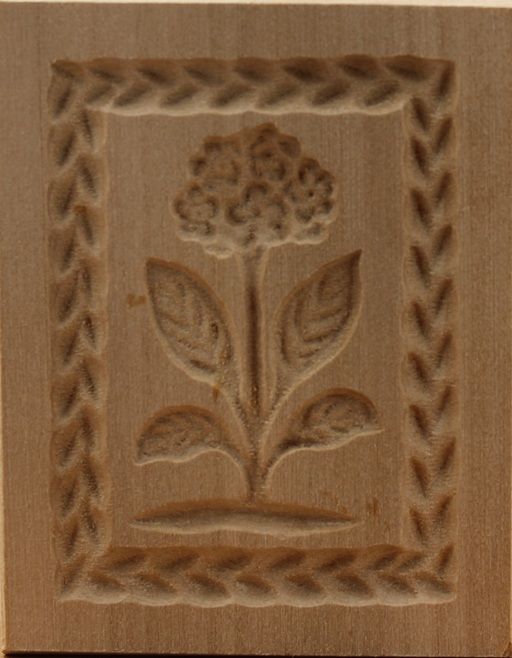 3197_4,5x6,0_Schlüsselblume_Pflanzen und Früchte 3197_4,5x6,0_Schlüsselblume_Pflanzen und Früchte