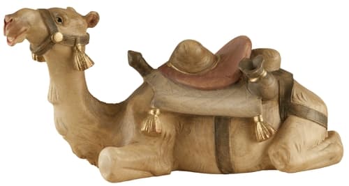 Kamel liegend Kamel liegend