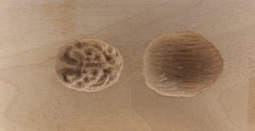 4161_walnuß_6,3x12_sonstige 4161_walnuß_6,3x12_sonstige