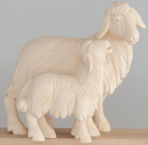 1855010_natur 1855010_natur