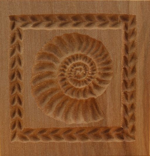 4003_5,7x5,7_Ammonit groß_Tiere