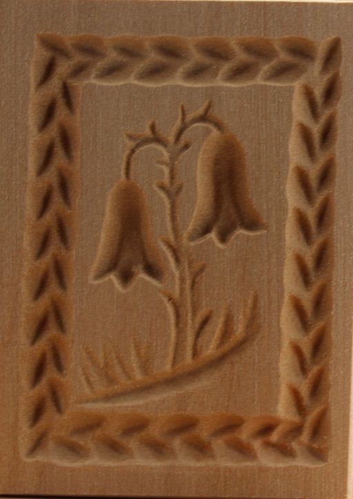 3173_4,5x6,0_Glockenblume mit zwei Blüten groß_Pflanzen und Früchte 3173_4,5x6,0_Glockenblume mit zwei Blüten groß_Pflanzen und Früchte