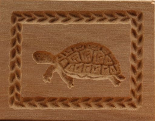 2186_4,5x6,0_Schildkröte_Tiere