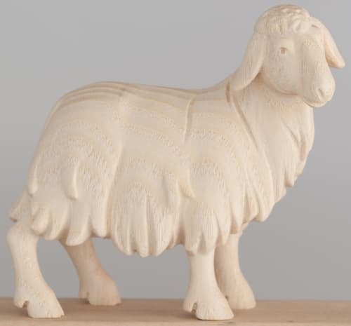 1851010_natur 1851010_natur