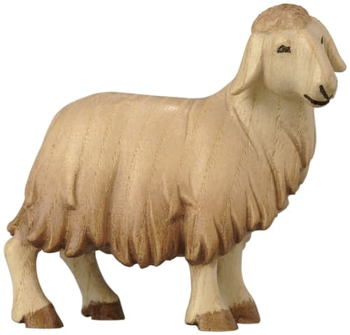 1851010_ton2 1851010_ton2