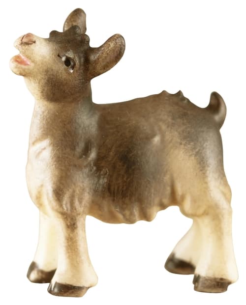 Zicklein stehend Zicklein stehend