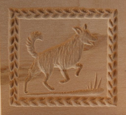 2207_5,0x5,8_Border Collie_Tiere 2207_5,0x5,8_Border Collie_Tiere