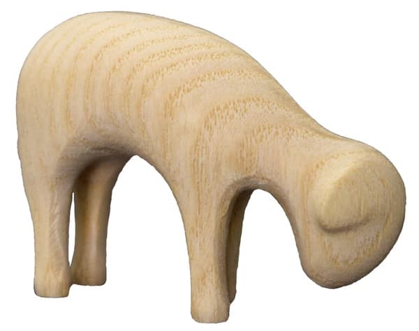 2302e schaf àsend esche natur 2302e schaf àsend esche natur